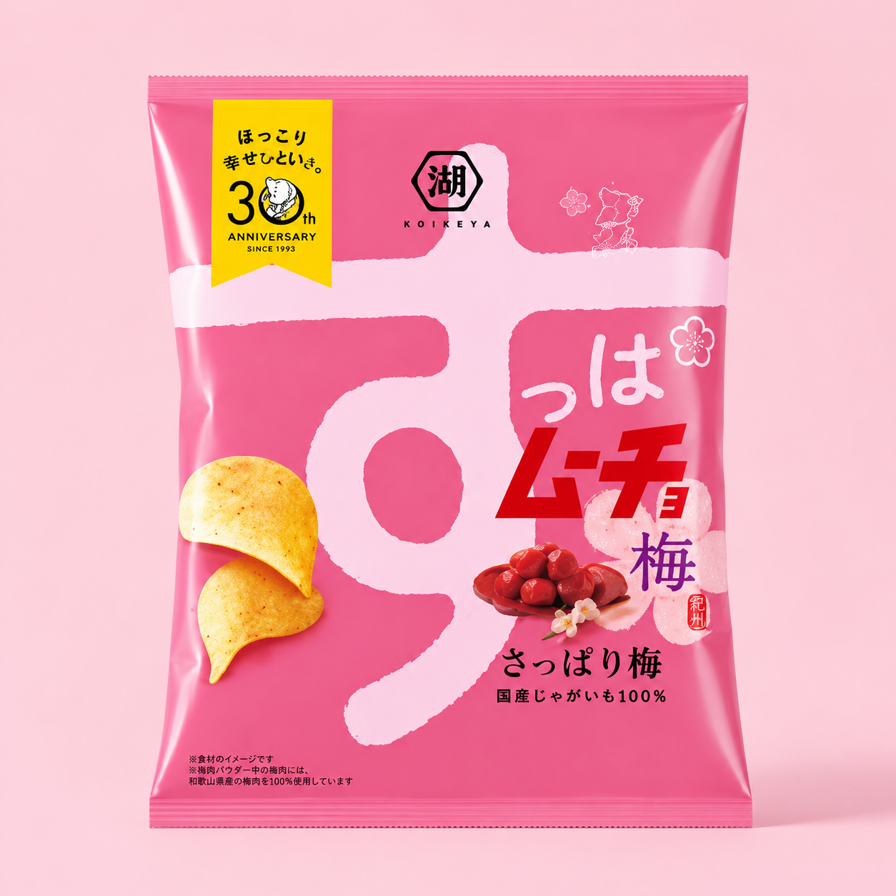 Koikeya Suppamucho Sour Chips